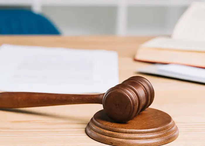 Nuija pöydällä, Hartelan hallituksen kuvituskuva