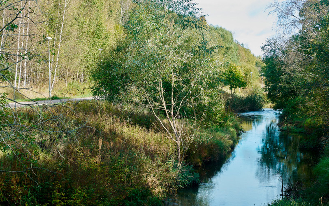 Valokuva Espoon Vanttilan alueella kulkevasta Espoonjoesta kesällä 2025