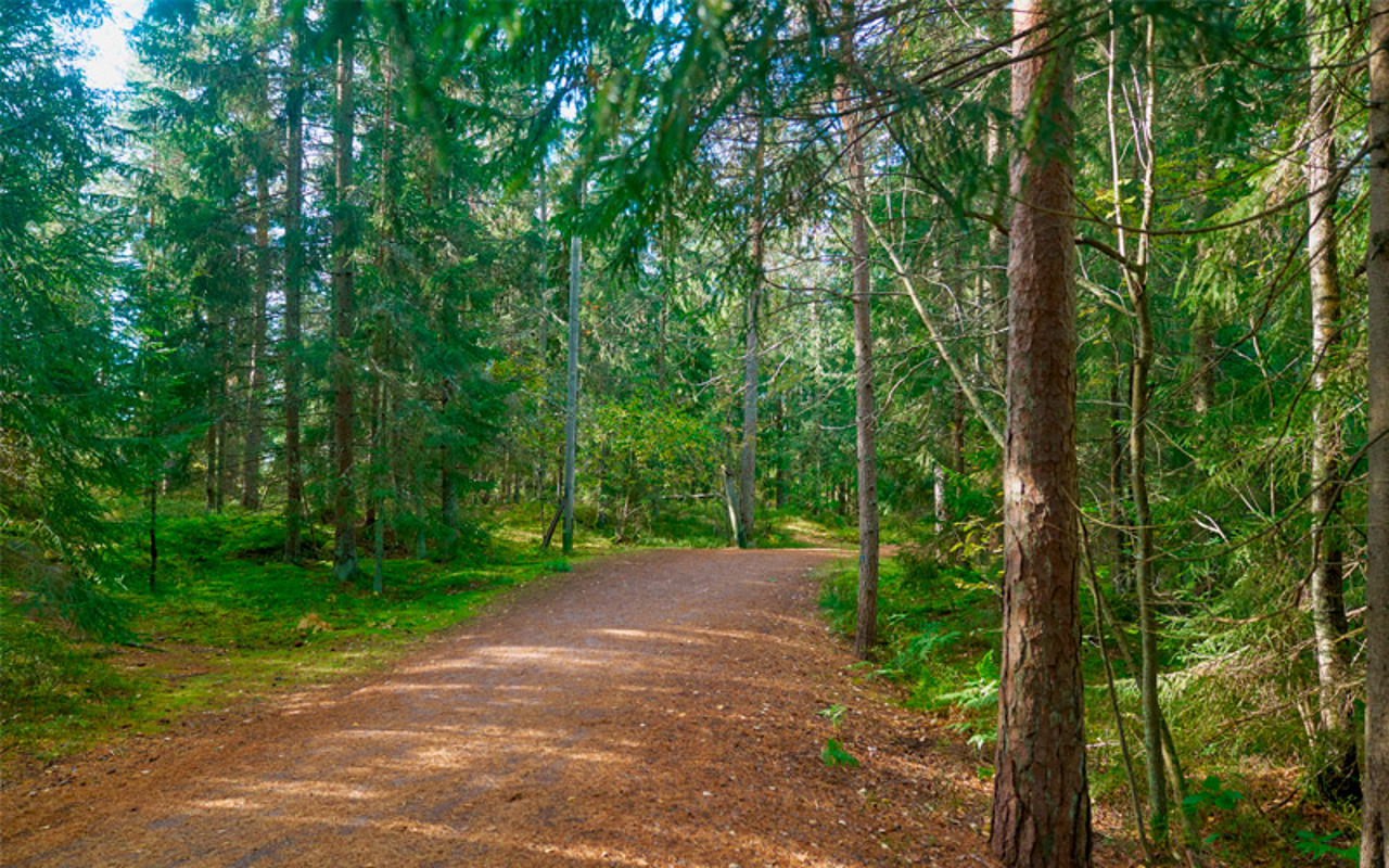 Valokuva Klauklahdella sijaitsevasta Palolammen kuntoradasta kesällä 2025